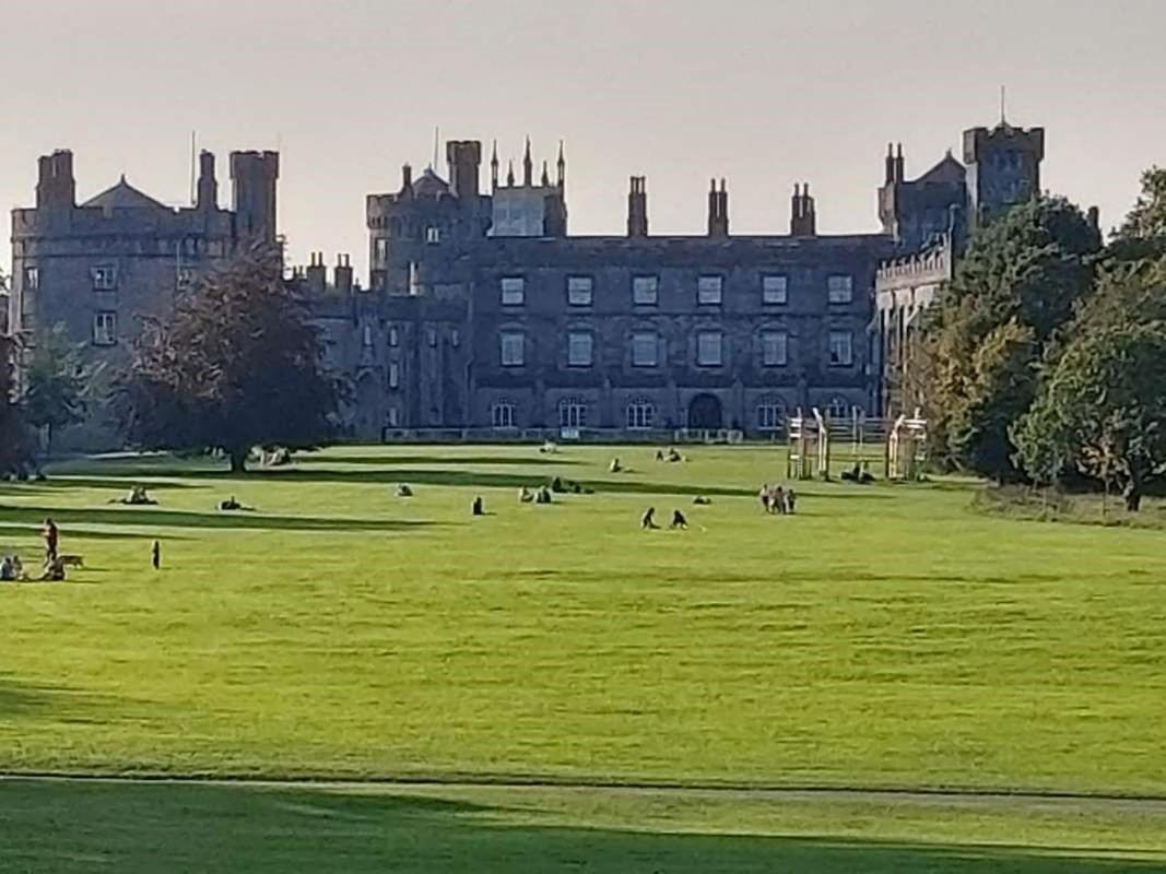 Castle Lodge B&B Kilkenny Exterior foto