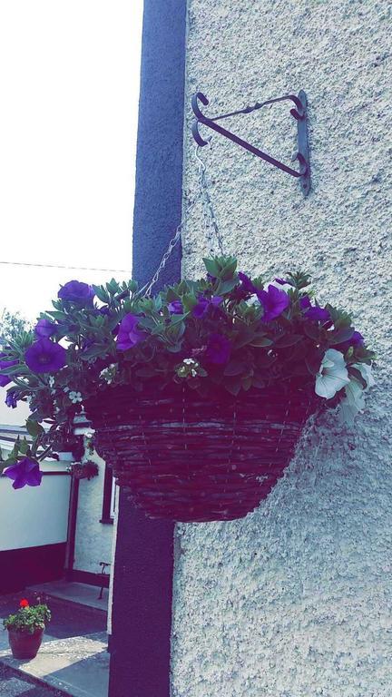 Castle Lodge B&B Kilkenny Quarto foto